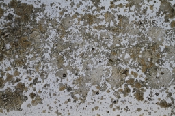 What certain developers wished they knew about avoiding moisture and mold problems in South Florida construction – Advice from Liberty Building Forensics Group