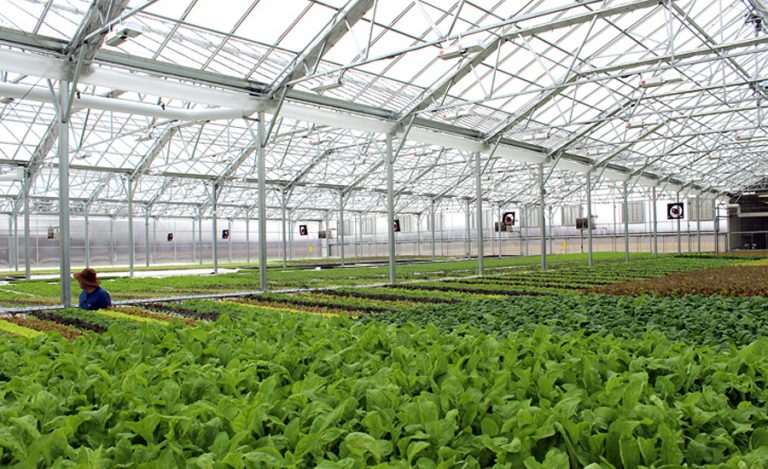 Florida contractor builds Chicagoland greenhouse
