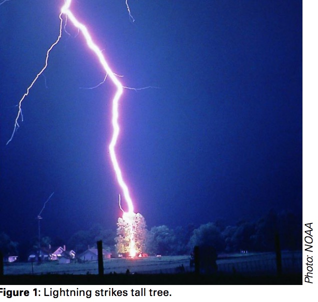 Watch out for lightning risk on Florida construction sites: OSHA