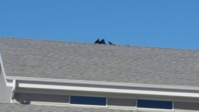 RSS Roofing Services & Solutions re-roof local Florida churches