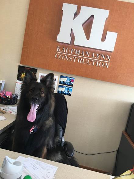 Kaufman Lynn Construction pays it ‘fur’-ward during “Take your dog to work day”