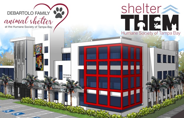 Construction begins on new animal shelter in Tampa