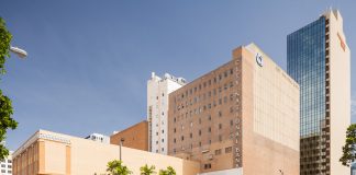 flagler avison young