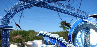 seaworld orlando photo