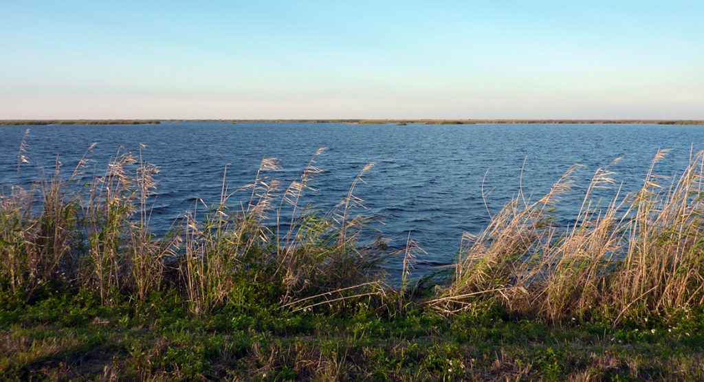 The everglades