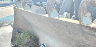 bay bnews 9 twitter feed