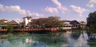 disney springs town center