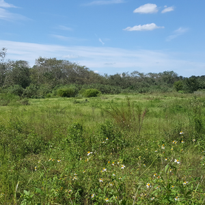 Ocala hosting brownfields ‘lunch and learn’ today – Jun. 8