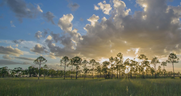 Florida announces $141 million to protect natural resources