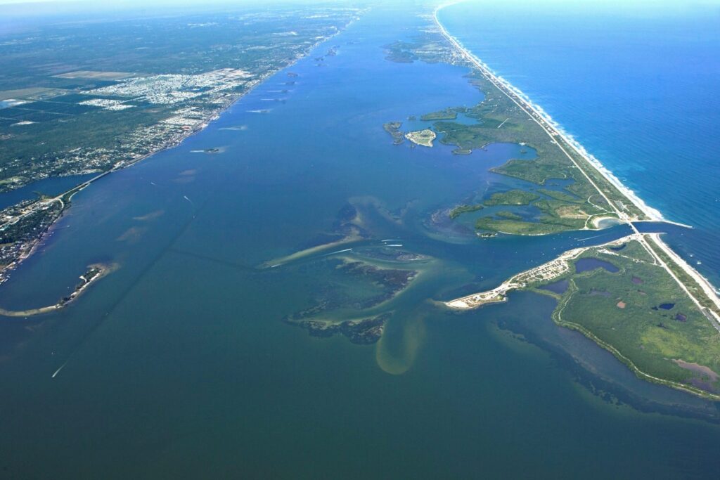Photo from Indian River Lagoon NEP.
