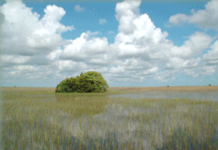 North American Mining wins major Everglades excavation contract