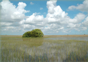 North American Mining wins major Everglades excavation contract